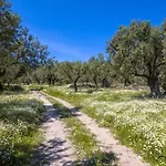 Aresti Mountain * Agios Leon