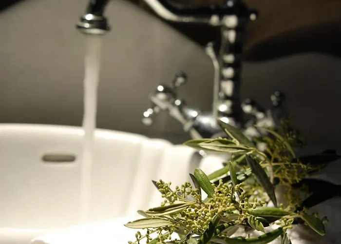 Aresti Mountain 别墅