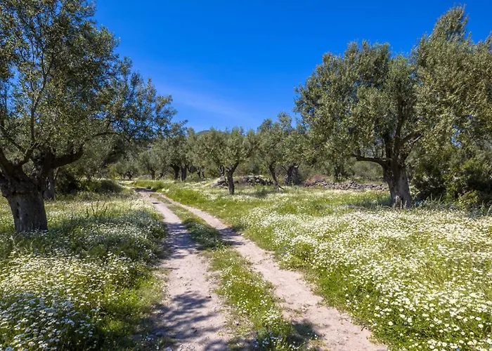 Aresti Mountain * Agios Leon