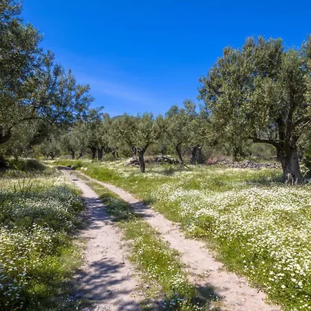 Aresti Mountain * Agios Leon